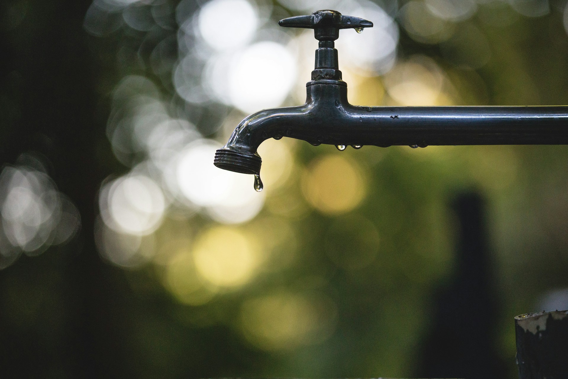 a familiar tap